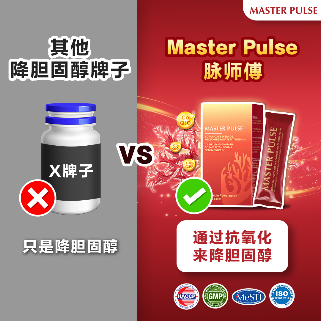 Master Pulse 脉师傅