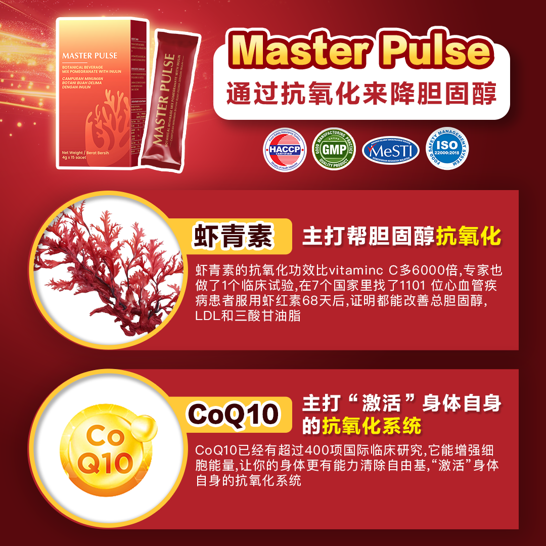 Master Pulse 脉师傅