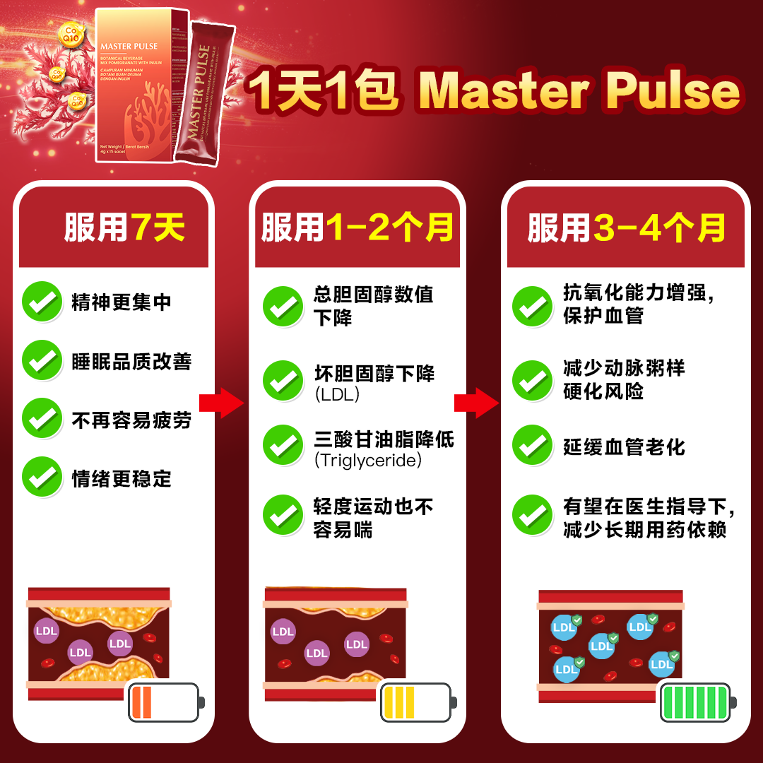 Master Pulse 脉师傅