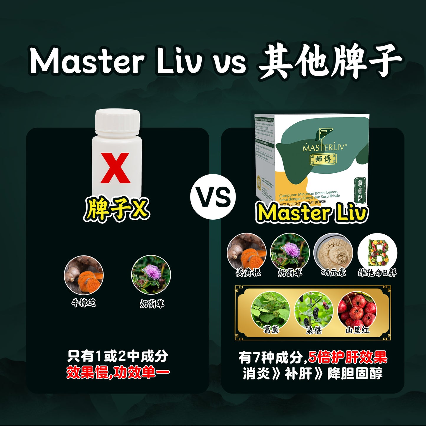 Master Liv 护肝保健品